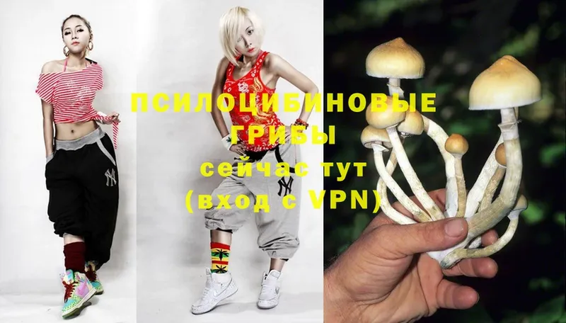 Псилоцибиновые грибы MAGIC MUSHROOMS  магазин    Бикин 